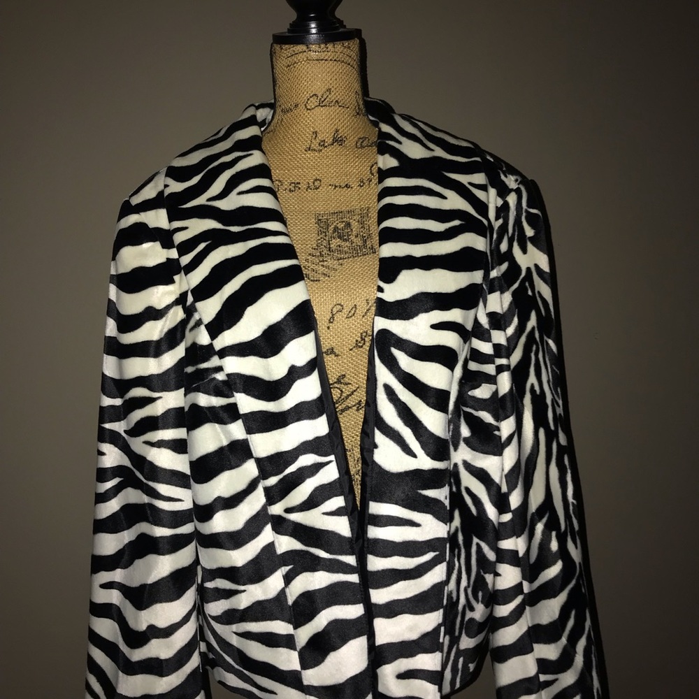 Zebra Jacket - Picture 2 of 8